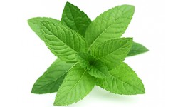 Peppermint leaves